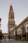 Stage Marketing & Graphisme en Argentine